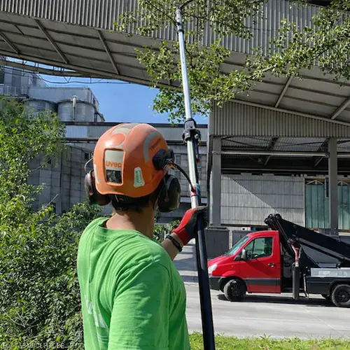 Waterbury Tree Care crew at work on a local job