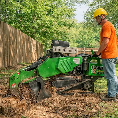 Stump grinding service at a Waterbury property