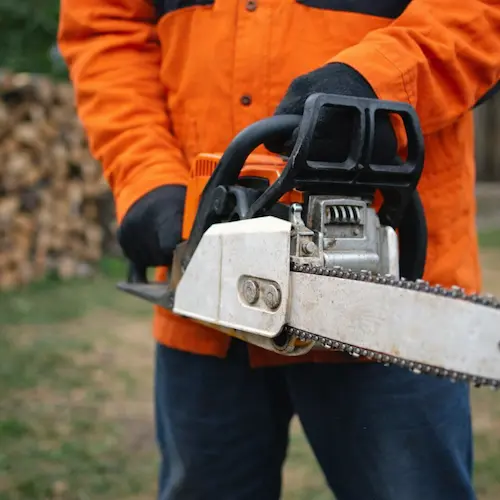 Professional tree trimming Waterbury CT